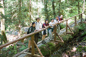 Standing On A Log Bridge