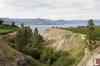 Orchards Down To Lake