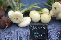 Onions Written With Chalk