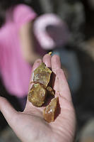 Common Opal