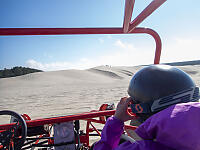 Car Tracks In Sand Dunes