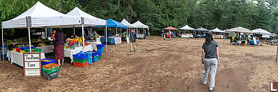 Denman Farmers Market Pano