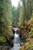 Down River Qualicum Falls