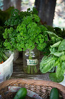 Herbs In Glass Jar
