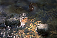 Water Around Rocks