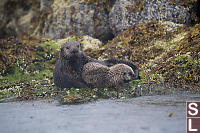 Family Resting On Rocks