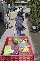 Grocery Shopping With Wagon