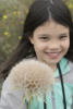 Yellow Salsify As Giant Dandylion