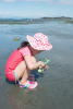 Sand Dollar With Magnifying Glass