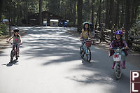 Biking Back From Playground