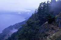 Cliffs in Fog