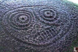 Petroglyph of Seal in Fulford Harbour