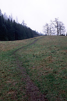 Trail Up Hill