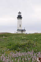 Yaquina Head Lighthouse