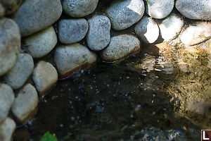 Bubbling Soda Spring