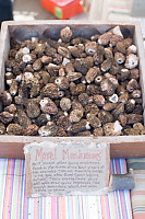 Morel Mushrooms