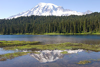 Rainier Reflected