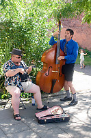 Ukulele And Cello