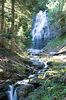 Waterfall In Forest