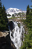 Myrtle falls In Front Of Rainier