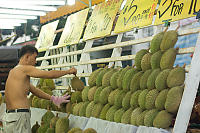 Racking Up The Durian