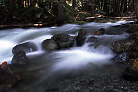 Pool of Water on Twenty Six Mile Creek