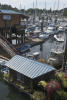 Houseboat With Japanese Maples