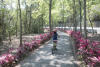 Biking Red Lined Path