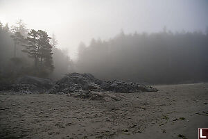Foggy Beach