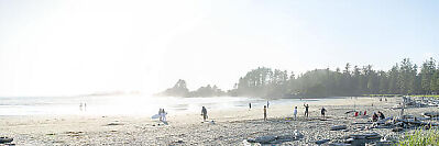 North End Of Mackenzie Beach