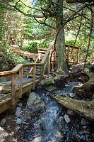 Boardwalk At Hot Spring Source