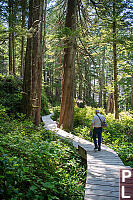 Dad Walking On Hot Springs Boardwalk