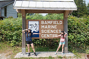 New Bamfield Sign