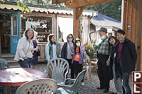 Meeting Up At Chocolate Tofino