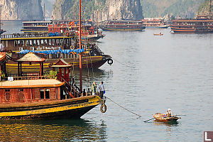 Boats Anchored In Morning