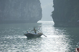 Rowing In Bay