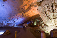 Scalloped Ceiling