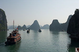 Train Of Boats Into Halong Bay