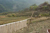 Fiber Drying