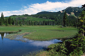 Lake With Ski Runs In Background