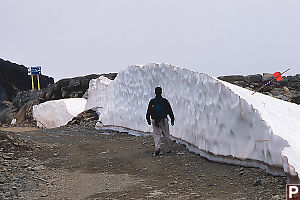 Walking Past Snow Bank